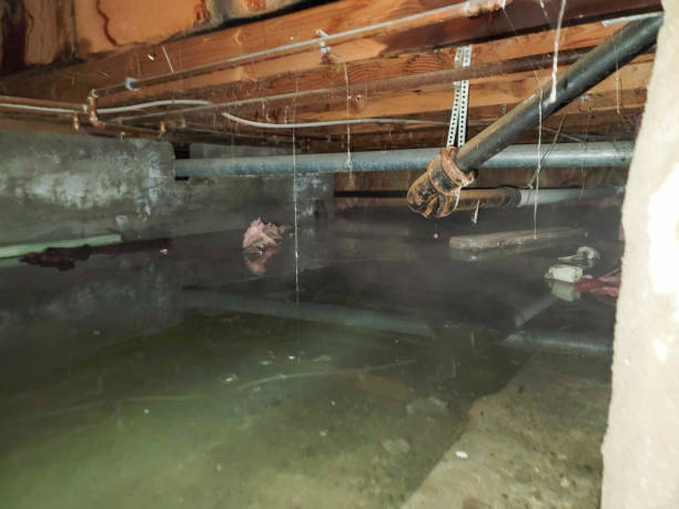Best Water damage restoration services  in Torrington, WY