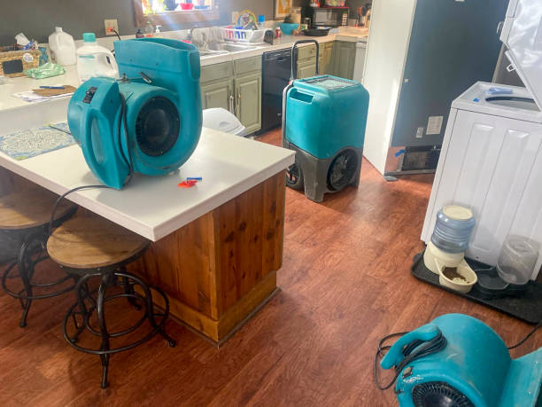 Carpet water damage restoration in WY