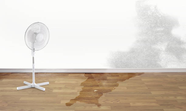 Best Emergency water damage restoration  in Torrington, WY