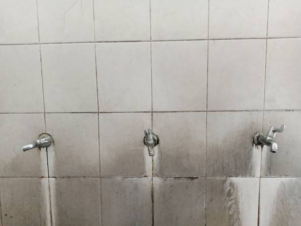 Best Commercial water damage restoration  in Torrington, WY