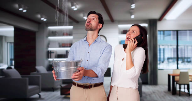 Best Water damage cleanup near me  in Torrington, WY